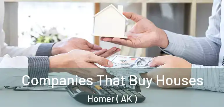  Companies That Buy Houses Homer ( AK )