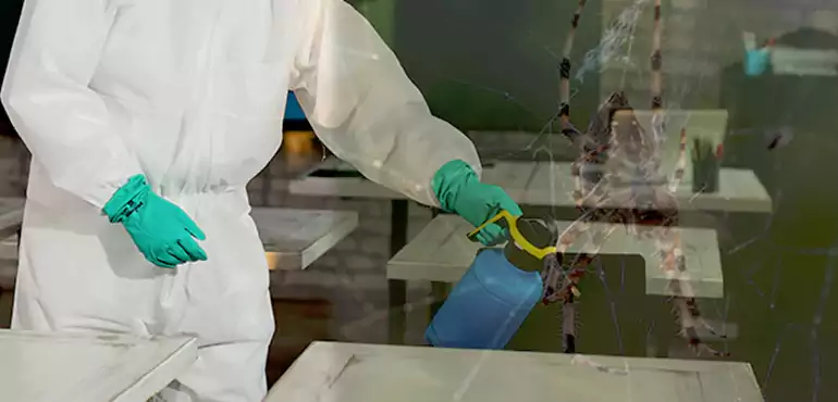 Why Buyers Still Want Homes With Pest Infestations in Alaska, AK?