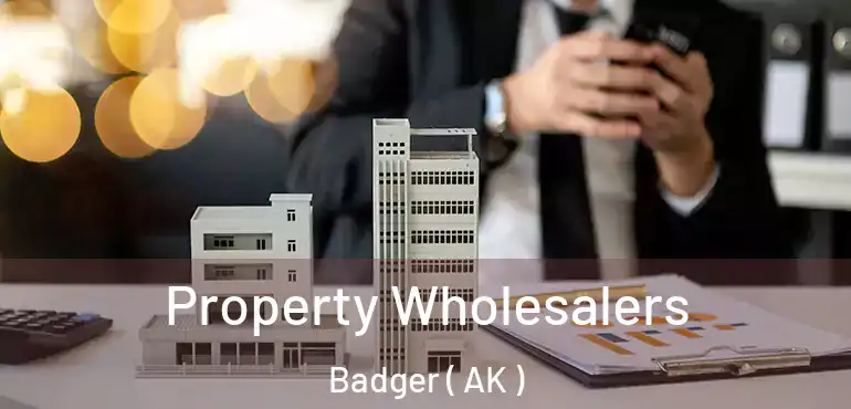  Property Wholesalers Badger ( AK )
