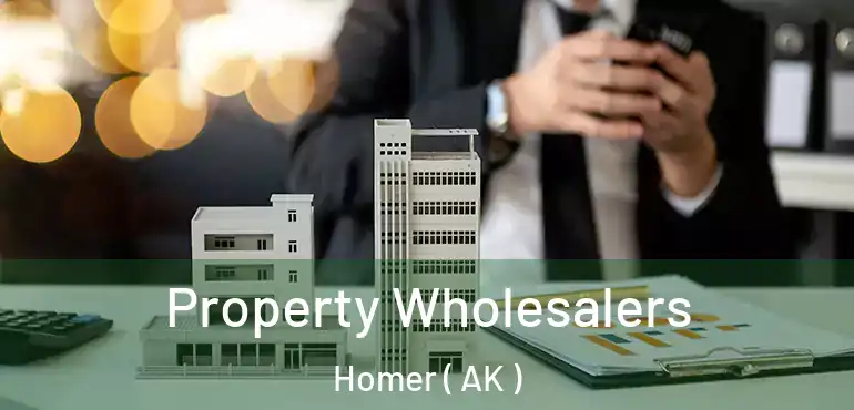  Property Wholesalers Homer ( AK )