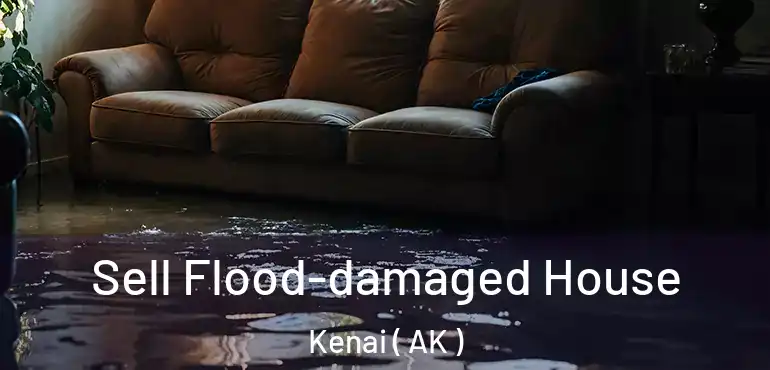  Sell Flood-damaged House Kenai ( AK )