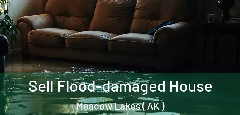  Sell Flood-damaged House Meadow Lakes ( AK )