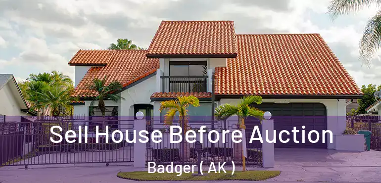  Sell House Before Auction Badger ( AK )
