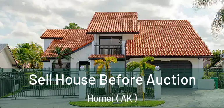  Sell House Before Auction Homer ( AK )