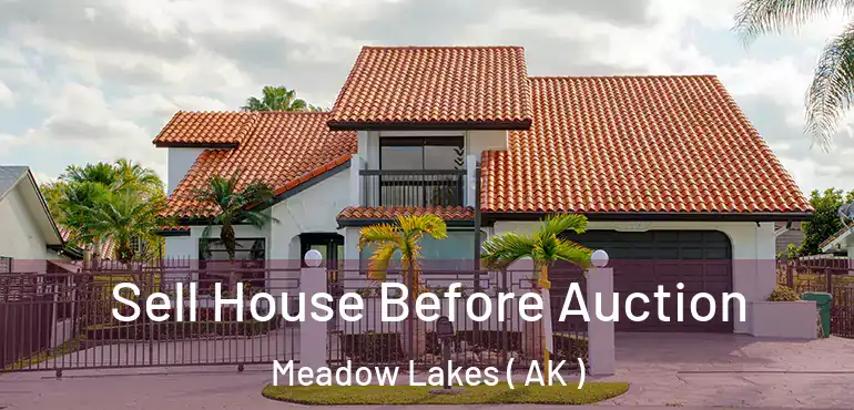  Sell House Before Auction Meadow Lakes ( AK )
