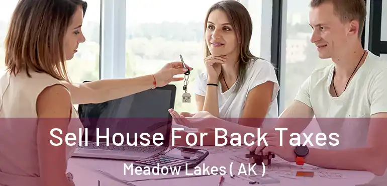  Sell House For Back Taxes Meadow Lakes ( AK )