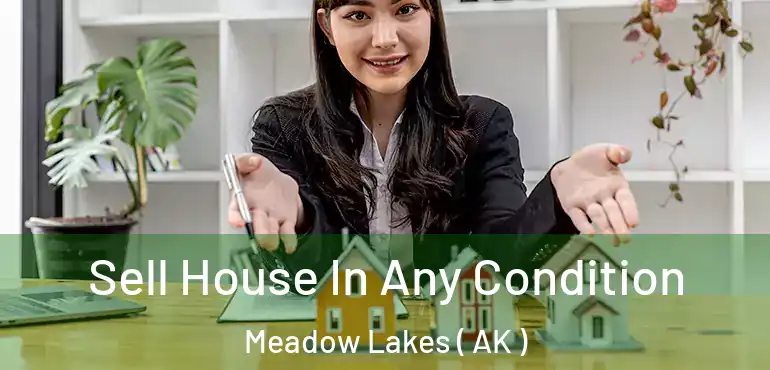  Sell House In Any Condition Meadow Lakes ( AK )