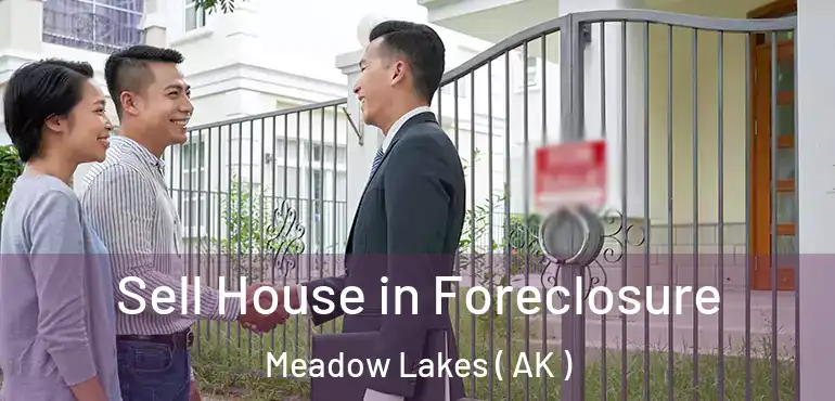  Sell House in Foreclosure Meadow Lakes ( AK )