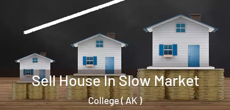  Sell House In Slow Market College ( AK )