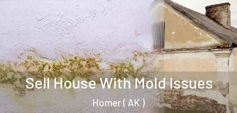  Sell House With Mold Issues Homer ( AK )