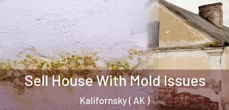  Sell House With Mold Issues Kalifornsky ( AK )