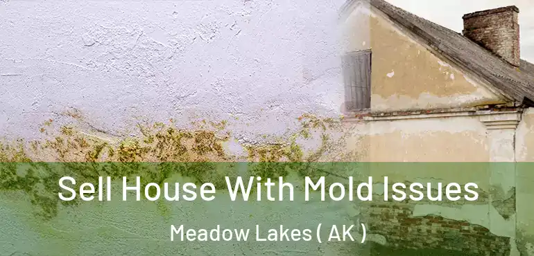  Sell House With Mold Issues Meadow Lakes ( AK )