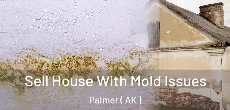  Sell House With Mold Issues Palmer ( AK )