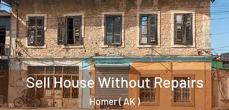  Sell House Without Repairs Homer ( AK )